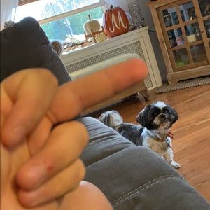 Meet your Posher, Leonard